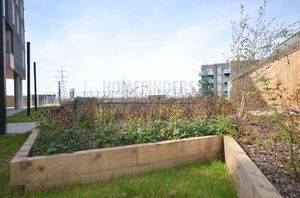 Communal Gardens- click for photo gallery
